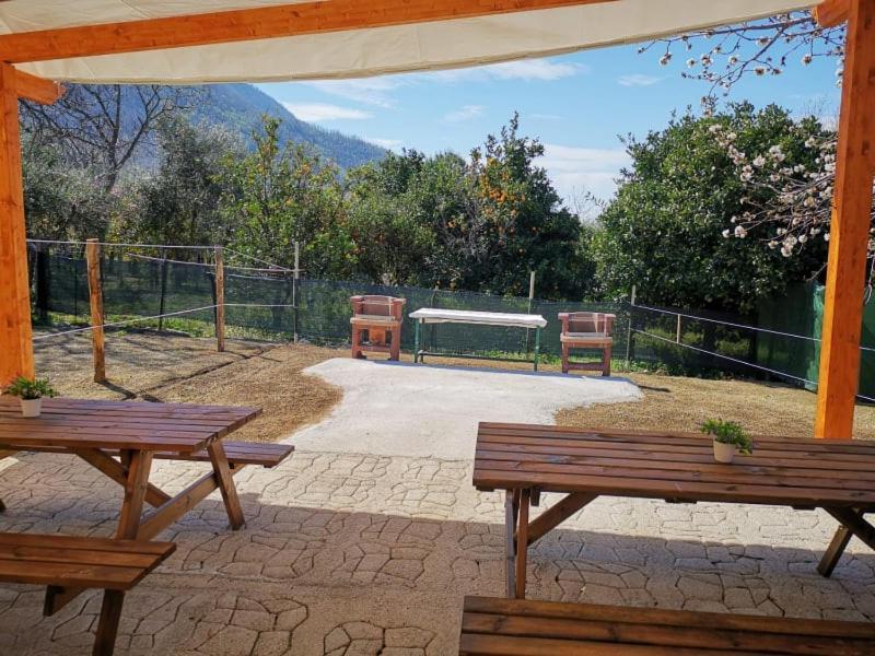 B & B Evergreen Corbara  Bagian luar foto