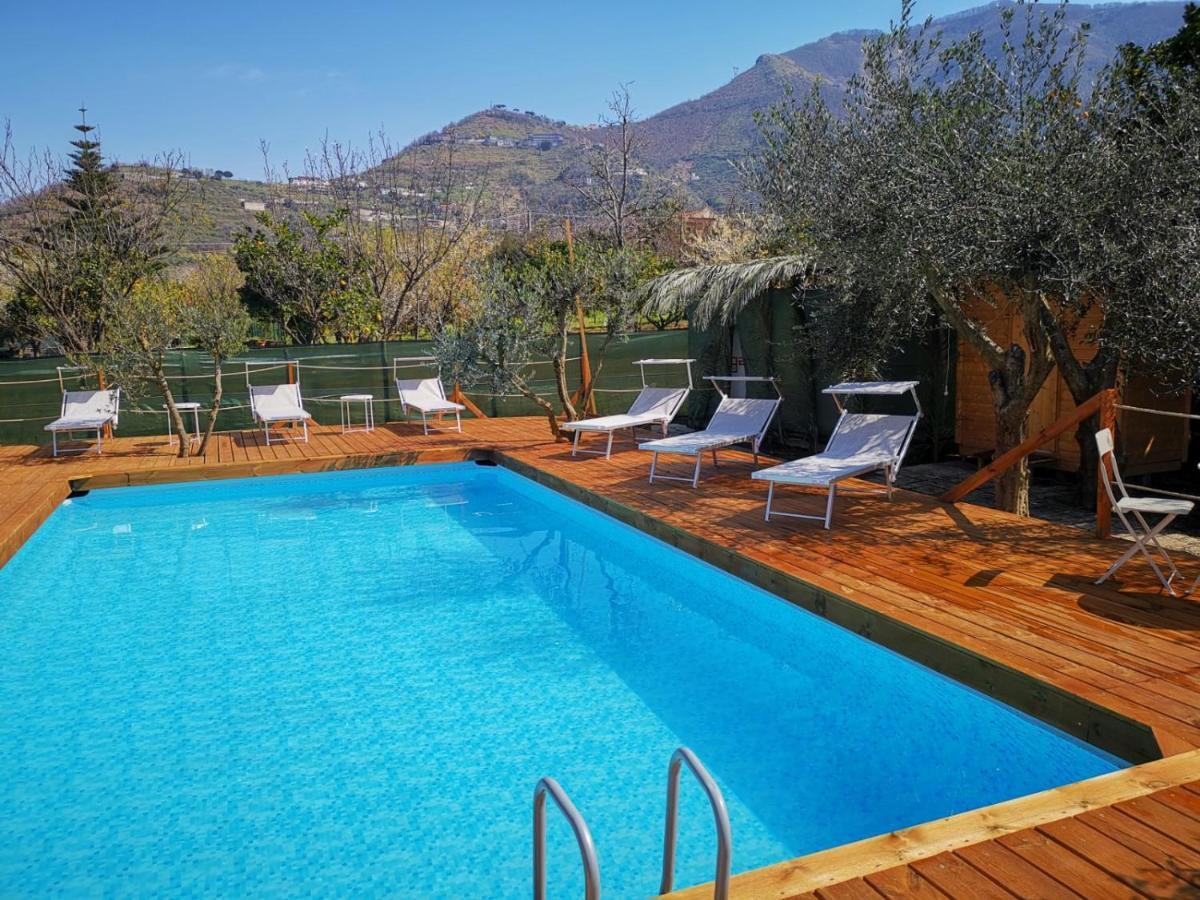 B & B Evergreen Corbara  Bagian luar foto